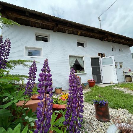 Casa de oaspeți Boroka Fitod Exterior foto