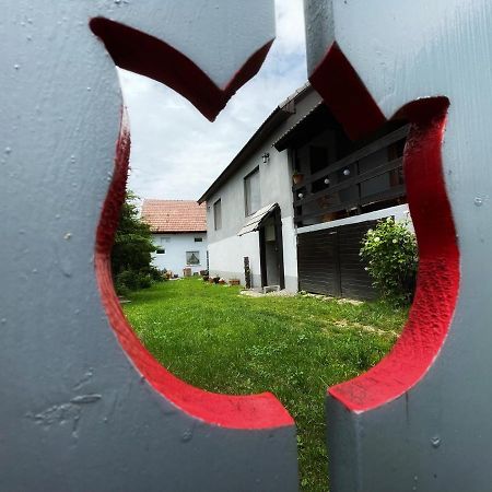 Casa de oaspeți Boroka Fitod Exterior foto