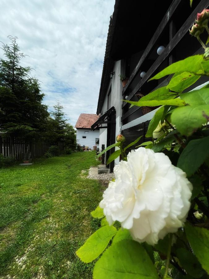 Casa de oaspeți Boroka Fitod Exterior foto